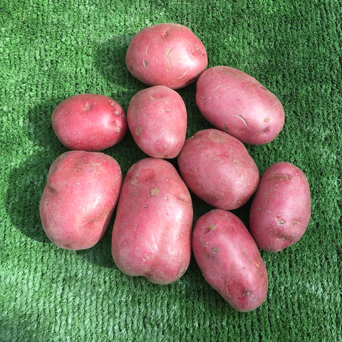 POTATOES (red)