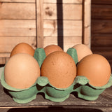 EGGS (L)